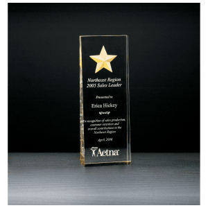 Constellation Series Etched Star with Gold Paint-Filled and Mirrored Bottom Acrylic