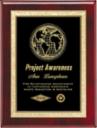 Rosewood Plaque with Solid Brass Engraving Plate