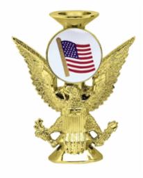 EAGLE RISER 5 ½” Flag not included
