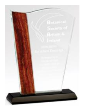 Optical Crystal Award Wave with Wood Edge - view 2