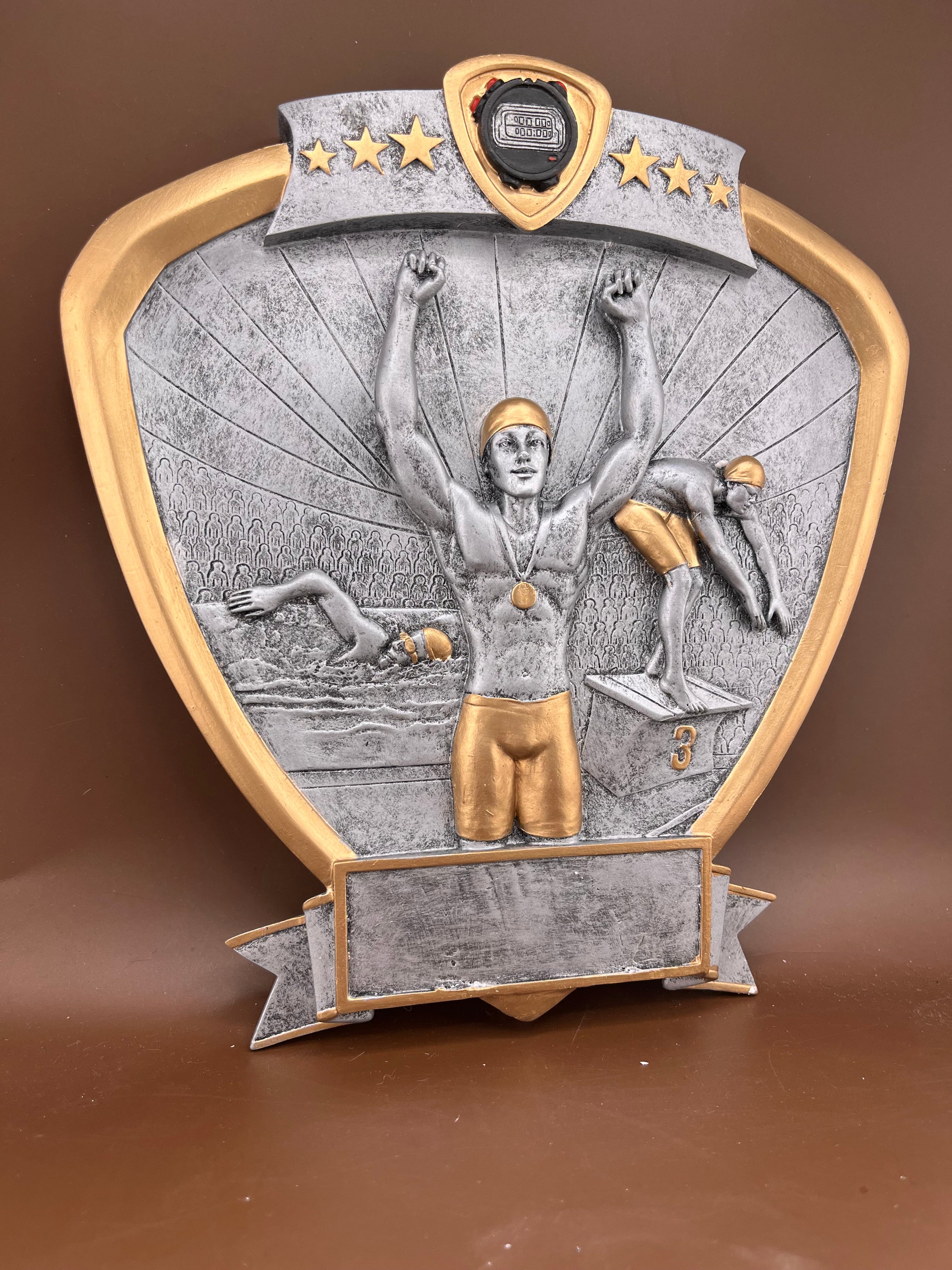 Male Swimmer 8" Shield Resin Trophy