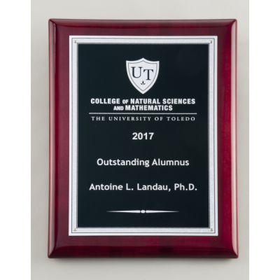 Silver Florentine Border w/ Textured Black Center on Rosewood Piano Finish Plaque
