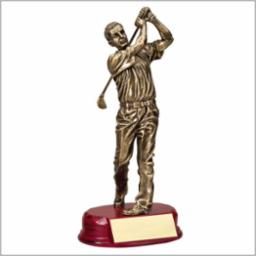 Golf Swing Male Medium Resin Trophy