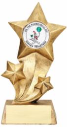 3 Star Resin Medallion Holder Trophy