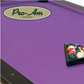 Championship Tour Edition Billiard Cloth