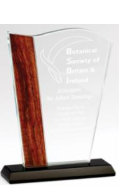 Optical Crystal Award Wave with Wood Edge