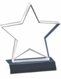Star Acrylic Award