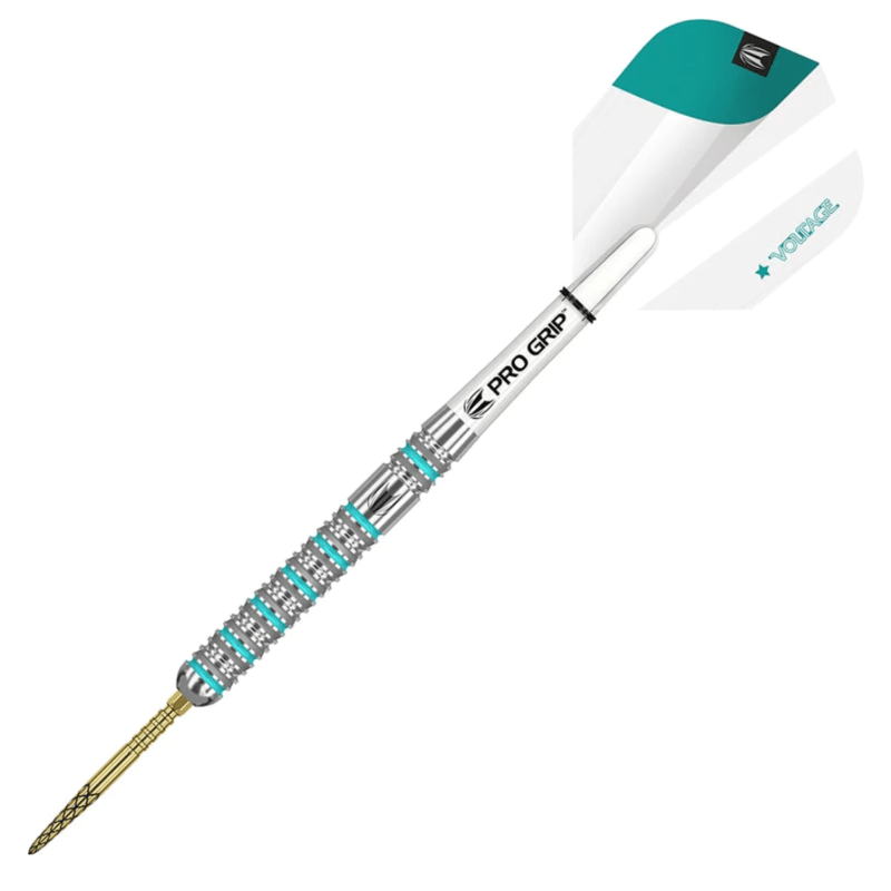 Target Dartpijlen Rob Cross zilver spanning 24 G messing stalen punt dartset Target Dartpijlen Rob Cross zilver spanning 24 G messing stalen punt dartset