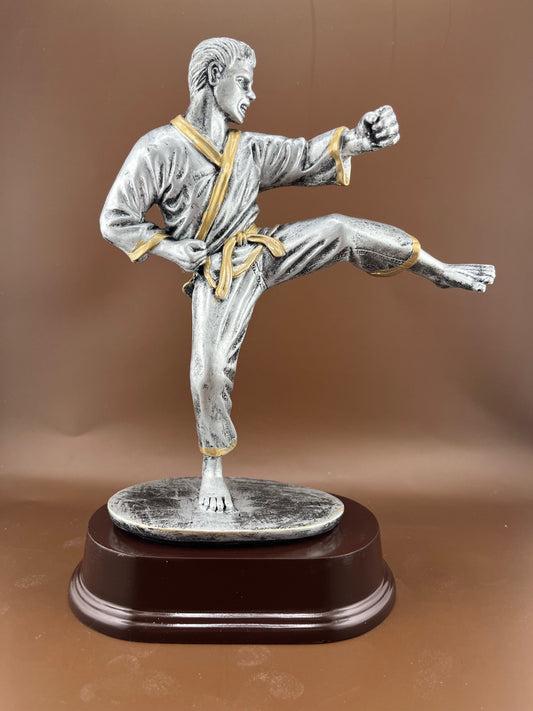 Karate Male Resin Trophy